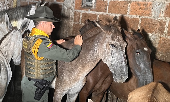 Momento en que Policía llegan a matadero clandestino de caballos en Antioquia