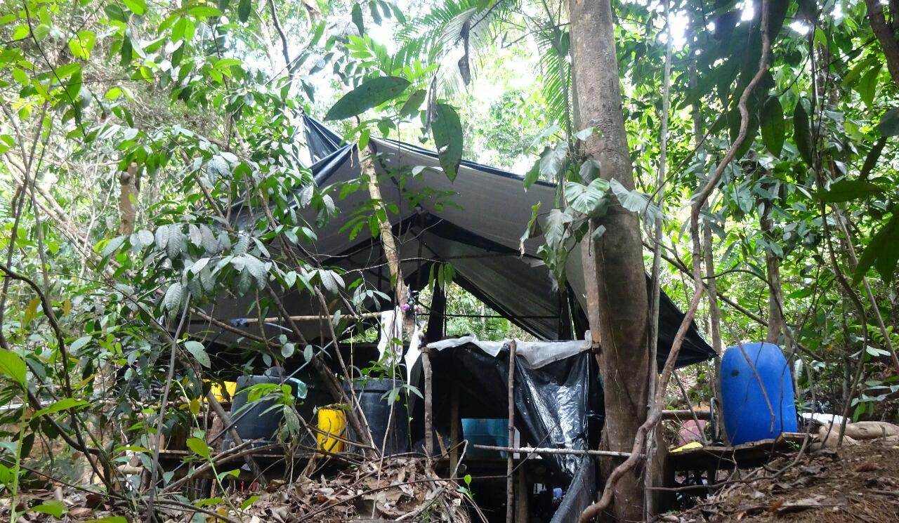 Destruimos-gigantesco-laboratorio-para-producir-cocaína-en-el-Catatumbo