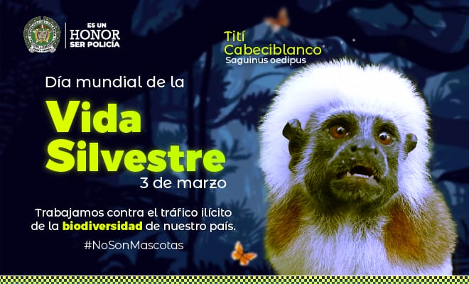 Día mundial de la vida silvestre