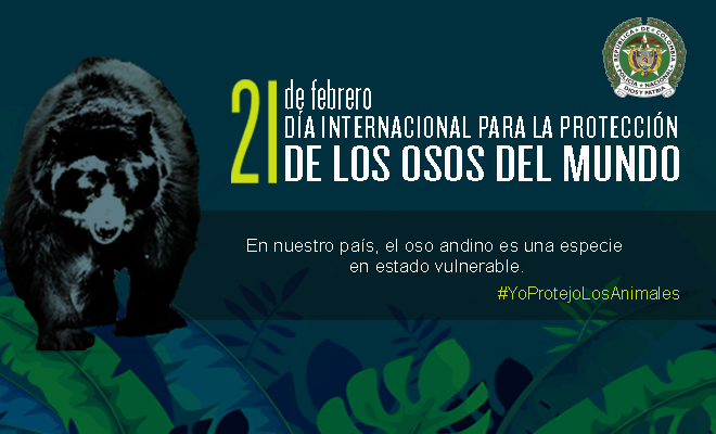  dia_internacional_para_la_proteccion_de_los_osos