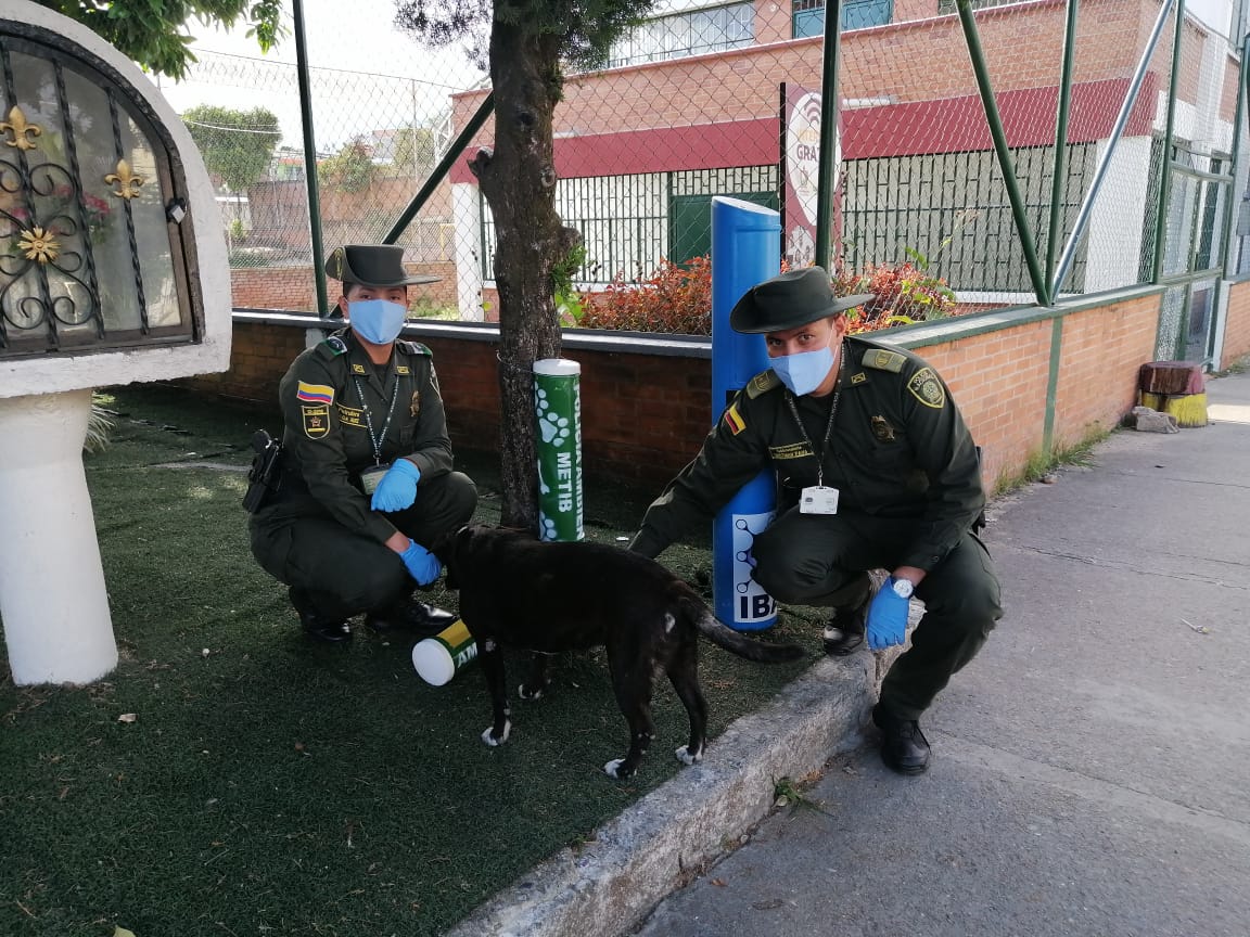 Instalamos dispensadores de comida e hidratación en la ciudad #EllosNoEstanSolos