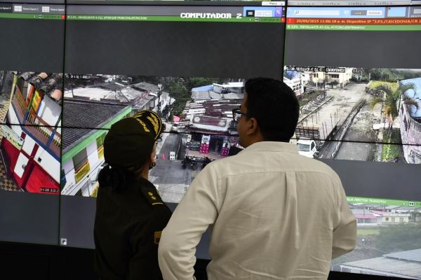 dispositivo de seguridad durante amor y amistad 