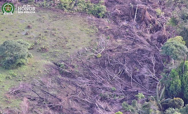 Lanzamos la Estrategia Institucional para la Protección del Capital Natural (EICAN)