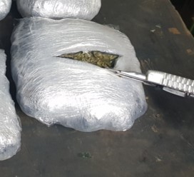 En-CPU-hallamos-marihuana