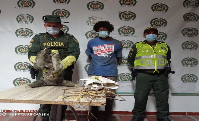 En el departamento del Chocó protegemos los animales