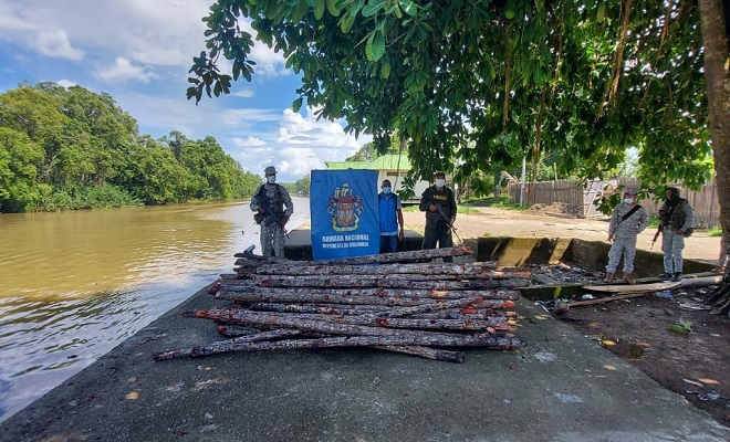 En Juradó Chocó incautamos especies de flora protegidas