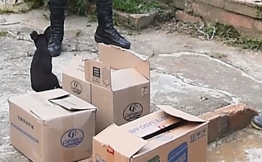 ENTREGA_DE_MERCADOS_EMCAR_ SOCORRO_4