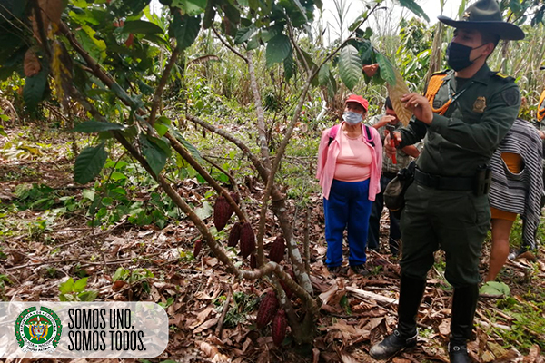 escuela_campo_cacao_caqueta