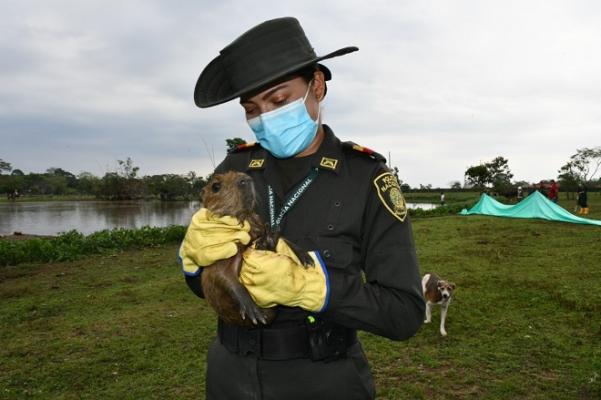 Estrategia de protección a la flora y fauna