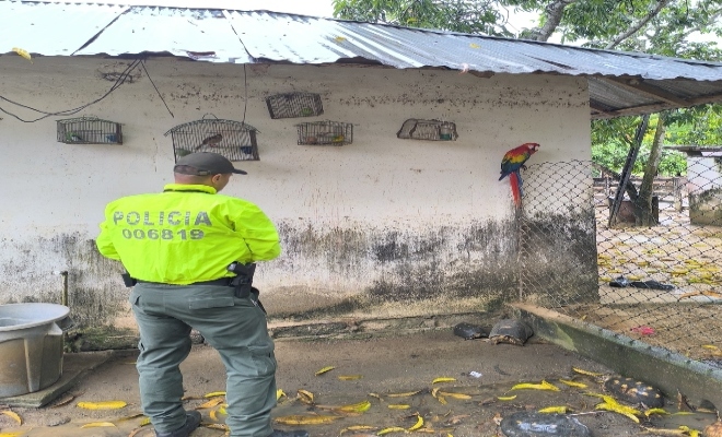 Capturado y especies recuperadas 