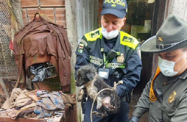 Trabajando contra el tráfico de fauna silvestre 