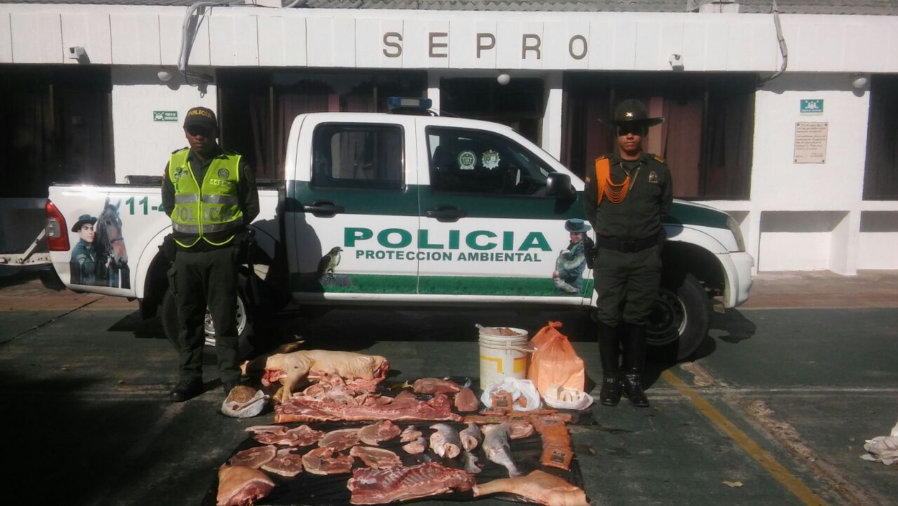 foto-carne-incautada