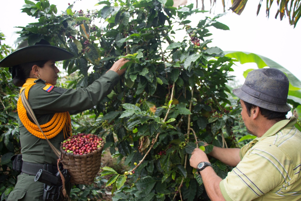Listo dispositivo policial para garantizar la seguridad en el plan cosecha