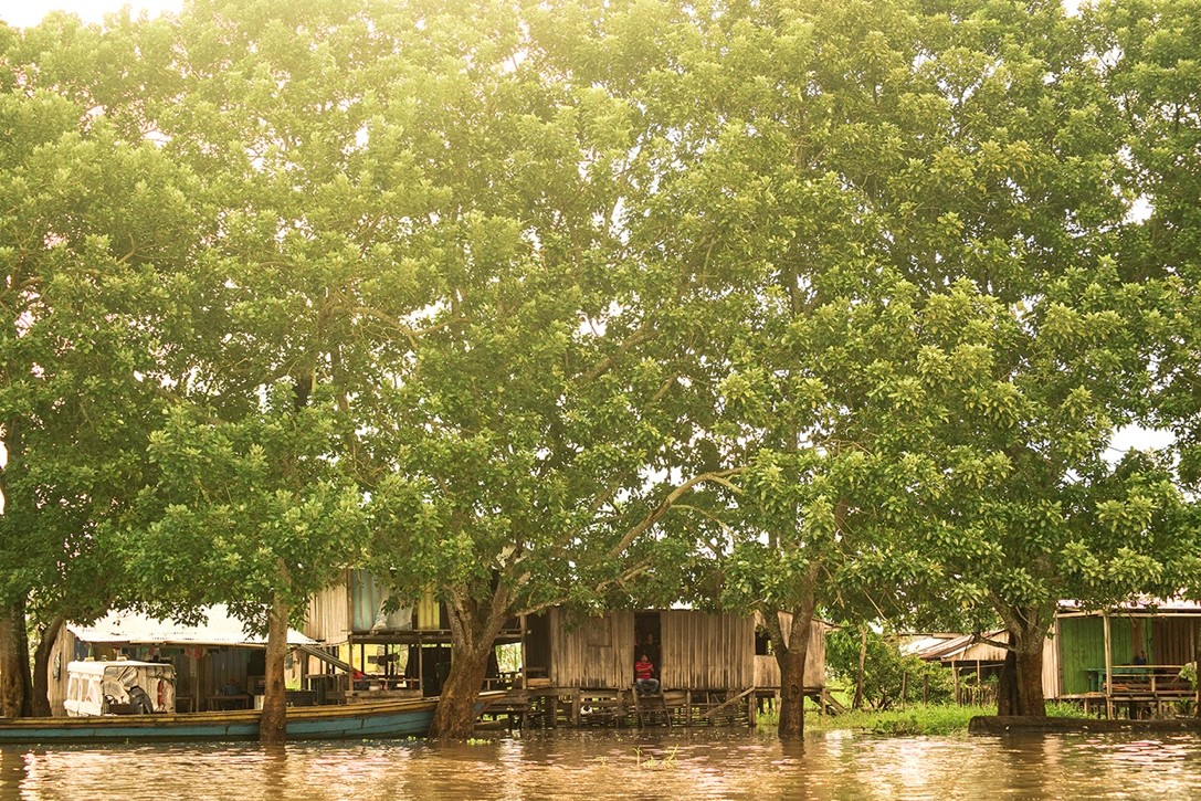 amazonas-es-colombia