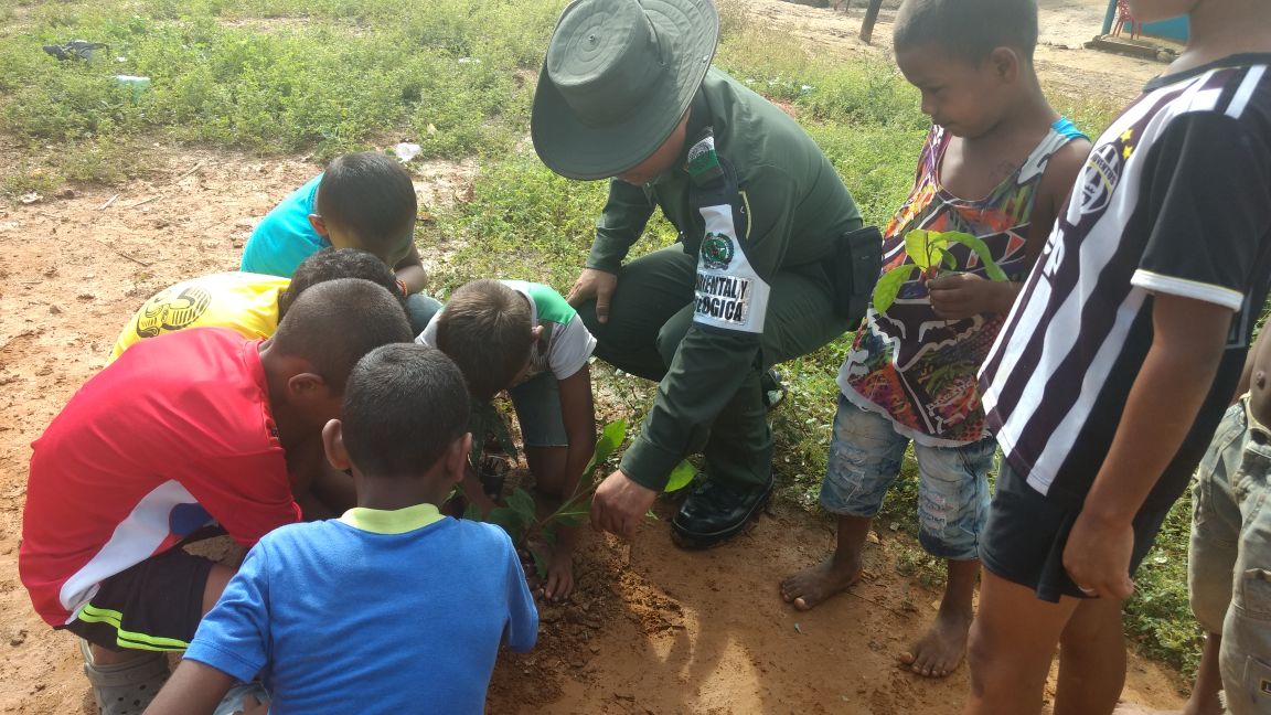 La siembra de árboles despertó la conciencia social para el respeto y el cuidado de la naturaleza