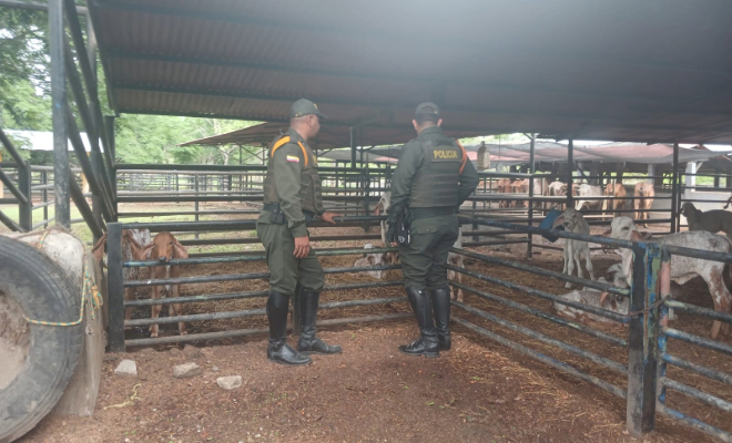 Grupo de Carabineros en Bolívar lidera campaña de herraje equino en Arjona