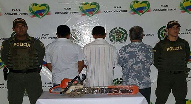 La Policía Nacional-frustró-tala indiscriminada-de árboles-en el Meta