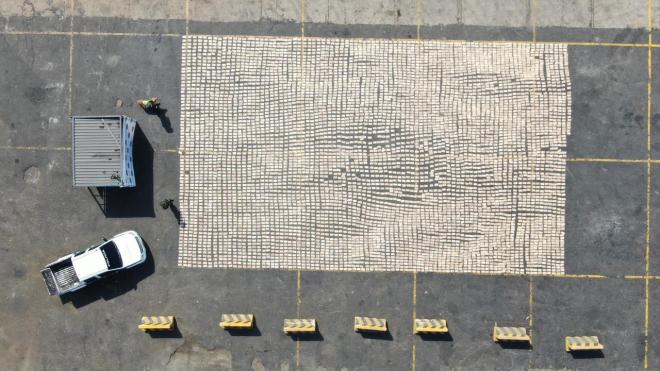 Frustramos-el-envío-de-droga-a-Holanda