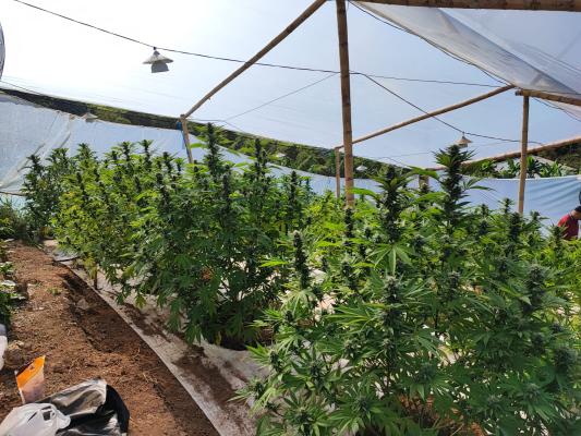  fueron capturados dos hombres conocidos  como “Tato” y “May”