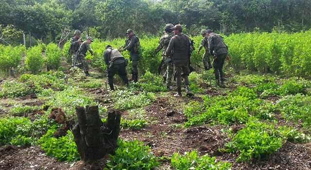 La Policía Nacional-propina nuevo golpe al ‘Clan Golfo’-narcotráfico-meta