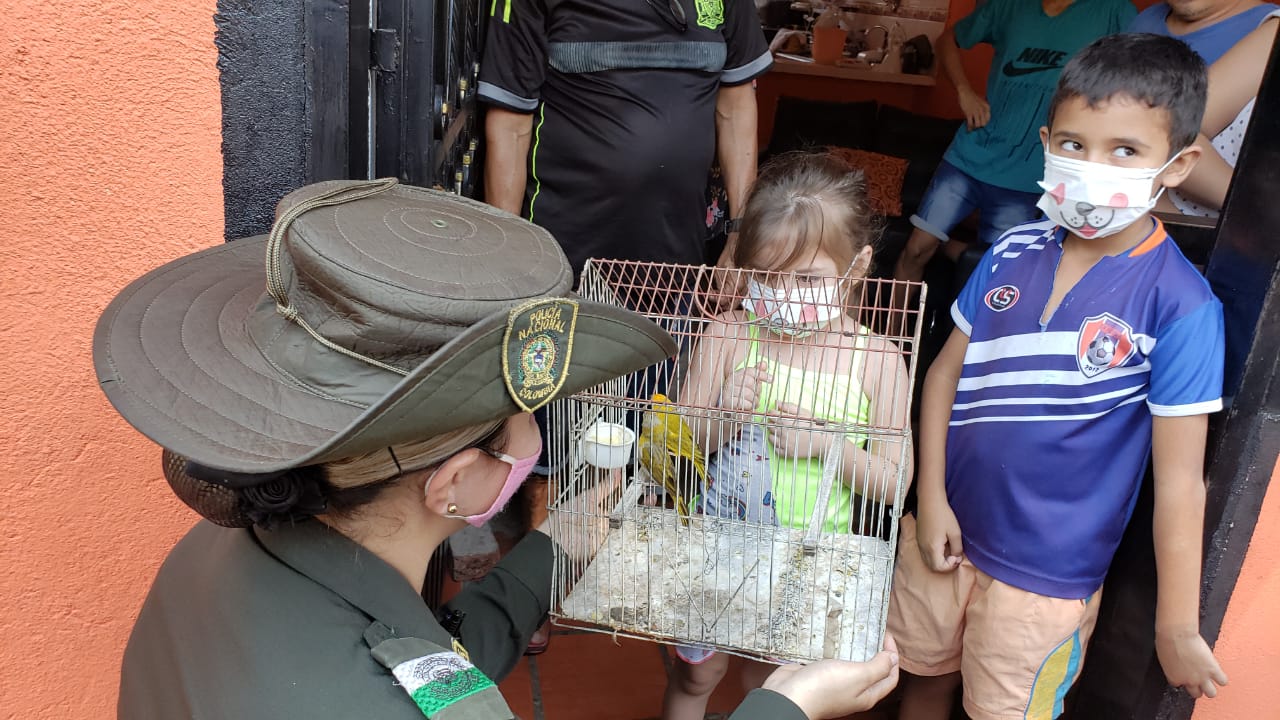 juntos protegemos a los animales