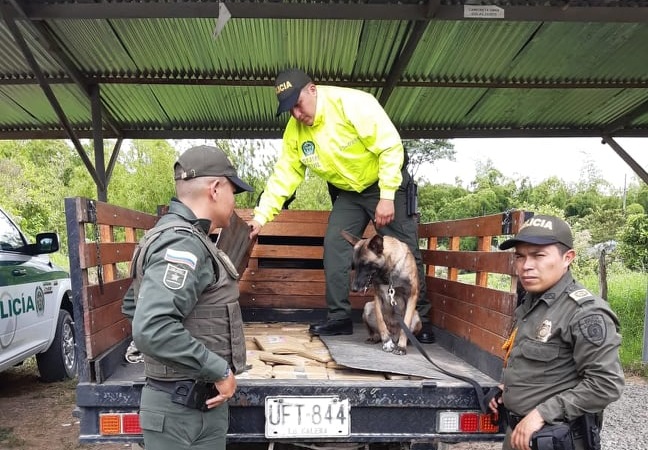 Incautamos 253 paquetes de marihuana