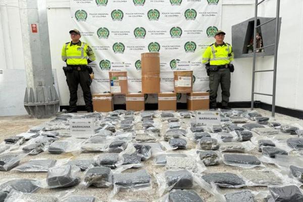 "Operativo en la vía Medellín - Pintada: Policía de Antioquia incauta 100.000 gramos de marihuana"