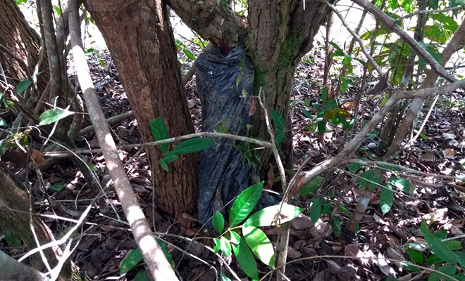 Plan-de-Choque-El-que-la hace-la paga-le-quita-fusil-a-los puntilleros-en-el-Meta