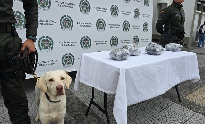 El canino antinarcóticos AXEL detecto los paquetes sospechosos 