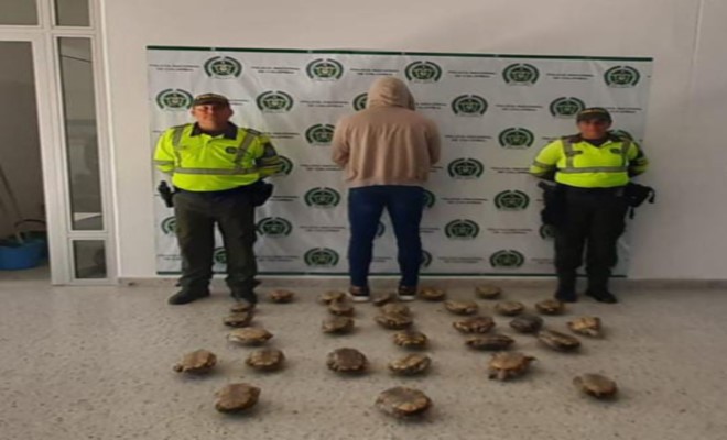 capturado por el delito de aprovechamiento ilícito de los recursos naturales por transito de Sucre