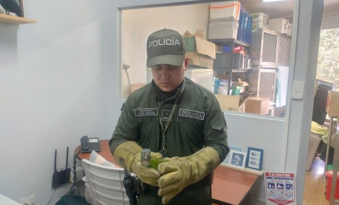 La protección de las especies es un trabajo que se realiza en conjunto con las autoridades ambientales