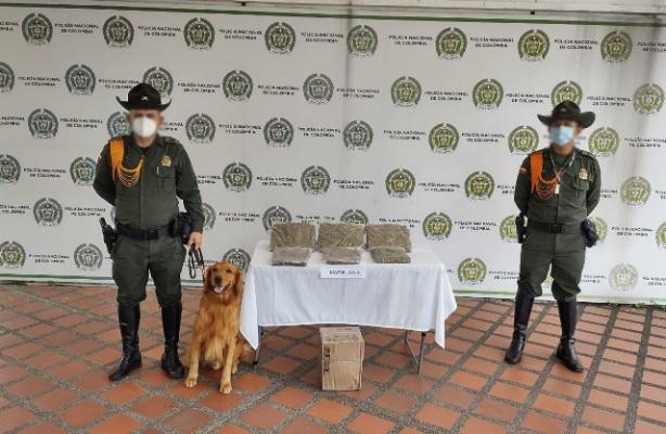 Área metropolitana de Pereira