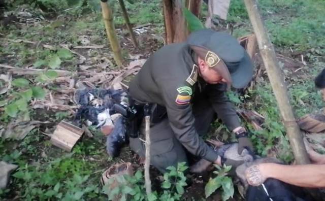 Preservación de flora y fauna silvestre 