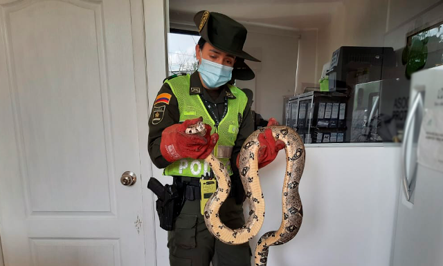 Se-desplegaron-actividades-de-prevención-y-control-con-el-fin-de-contribuir-a-la-conservación-del-medio-ambiente 