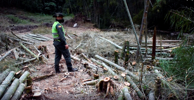 Capturamos cuatro hombres por ilícito aprovechamiento de los recursos naturales