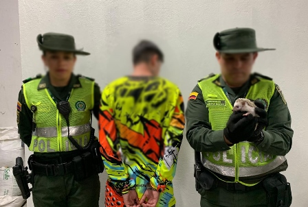 Gracias-a-los-controles-que-ejercen-las-unidades-adscritas-a-la-policía-ambiental-y-ecológica 