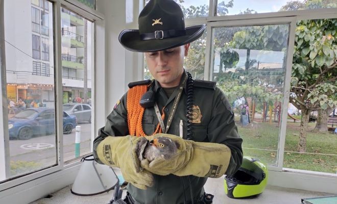 La protección de los animales es un compromiso de todos