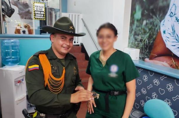 Incautación de tres tortugas en el municipio de Pereira