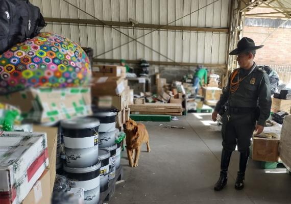 Caninos que garantizan bienestar