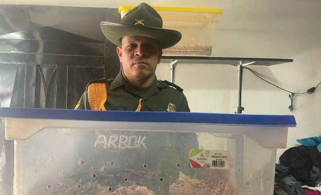 Actividades que se realizan en diferentes lugares del área metropolitana de Pereira 