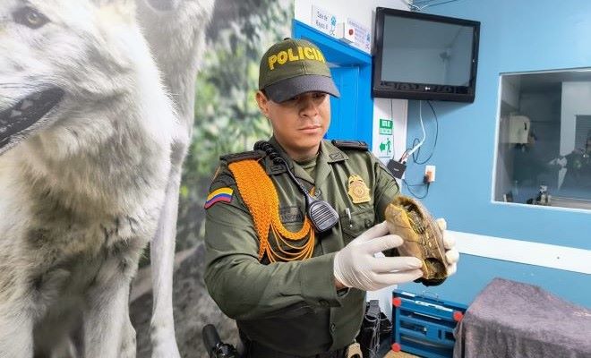 La Policía Nacional adelanta acciones de prevención y control en defensa de todos los animales