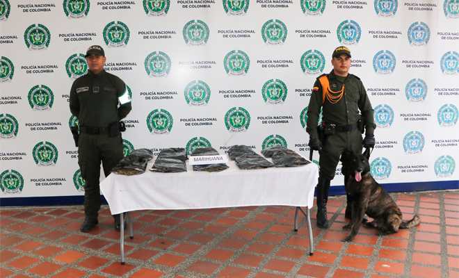 En el municipio de Dosquebradas, Risaralda, son incautados varios kilos de marihuana