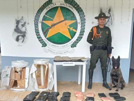 El alucinógeno fue camuflado en dos encomiendas provenientes del departamento del Cauca