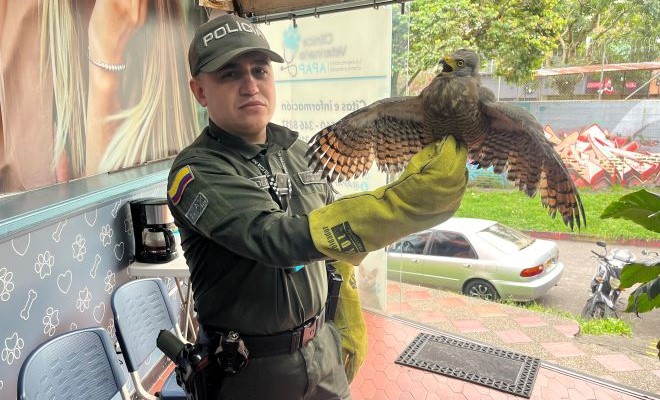 Una de las prioridades para nuestra institución es la protección de todos los seres vivos