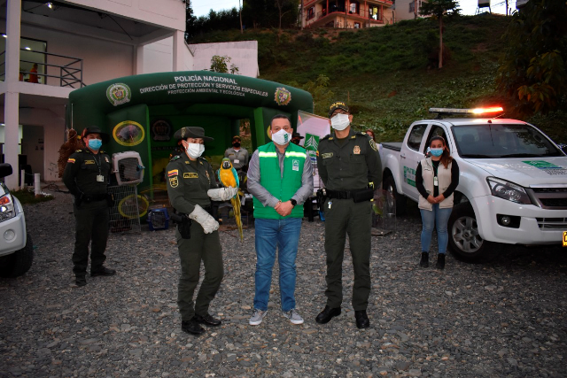 Tu-casa-no-es-mi-casa-mi-casa-es-el-bosque