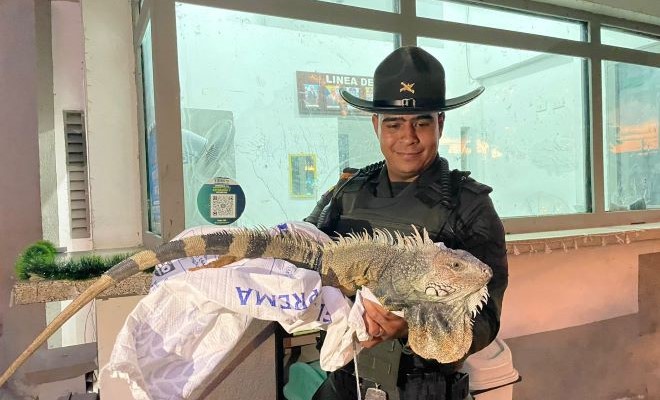 En protección a la fauna, la policía nacional realiza diferentes controles 