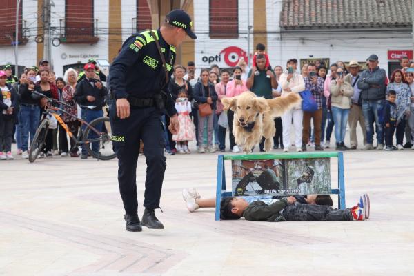 Los super Perros de la Policía Nacional