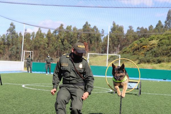 La Escuela de Guías y Adiestramiento Canino, entrena perros súper héroes. 