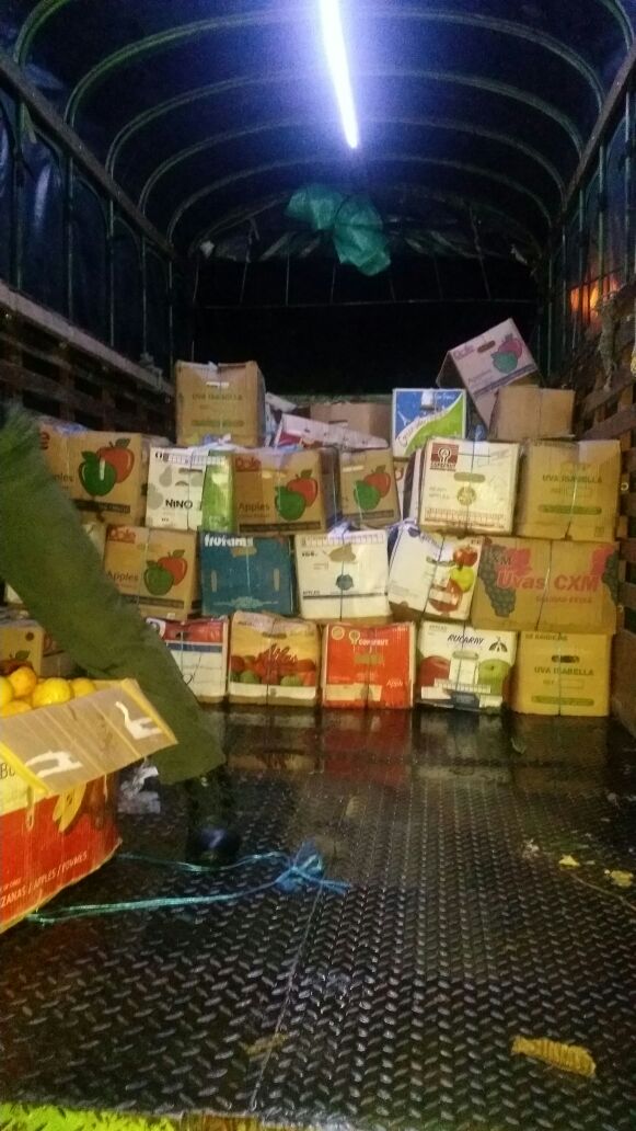 Cayó cargamento de marihuana tipo " creepy"