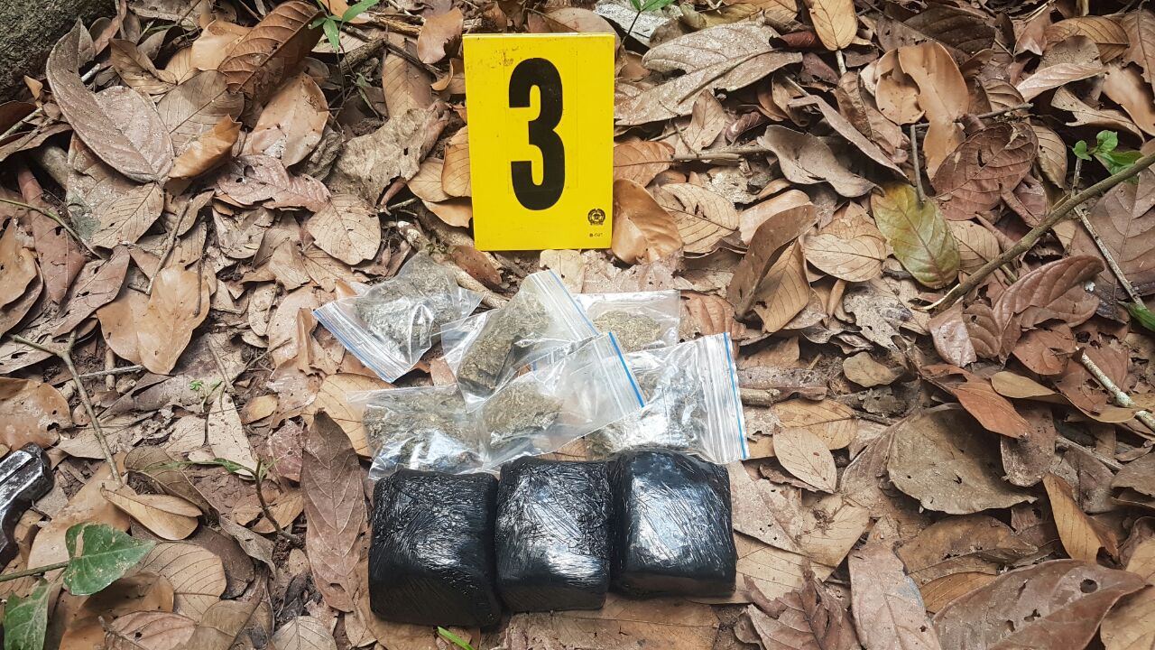 gracias a la información de la comunidad se logró el hallazgo de armas de fuego y sustancias alucinógenas 